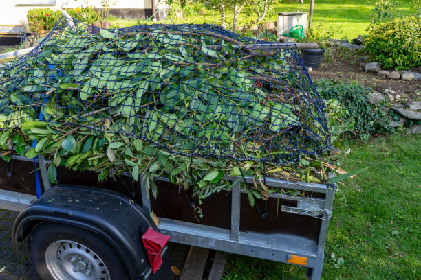 Best Scrap Metal Removal  in Carey, ID